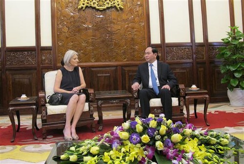 President receives Danish ambassador  - ảnh 1